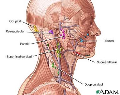 non-hodgkins-lymphoma non hodgkins lymphoma