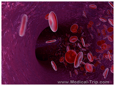Stem Cells India