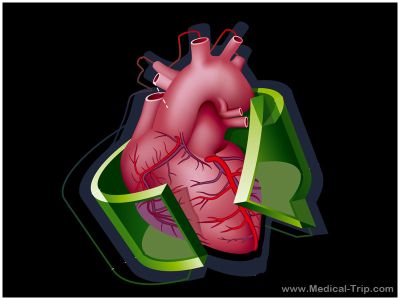 Heart