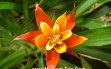 costa-rica