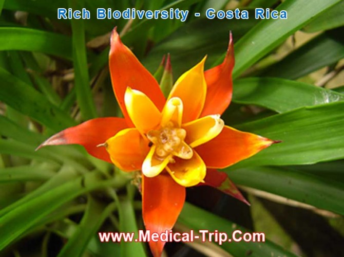 costa-rica