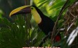 costa-rica1