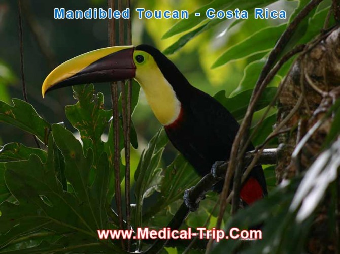 costa-rica1